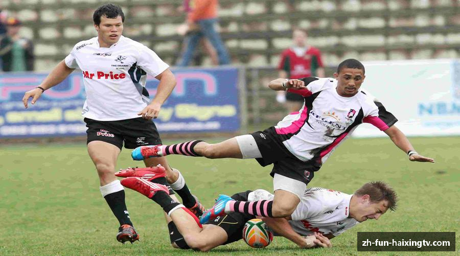 海星体育-全球体育赛事直播与分析平台